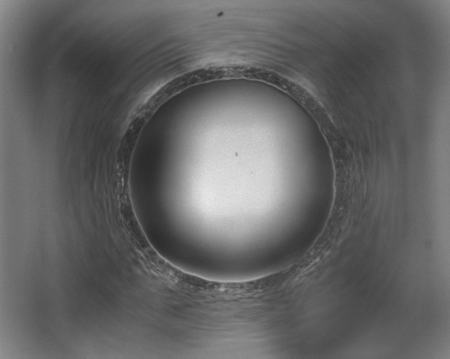 X0000063440871200601231323