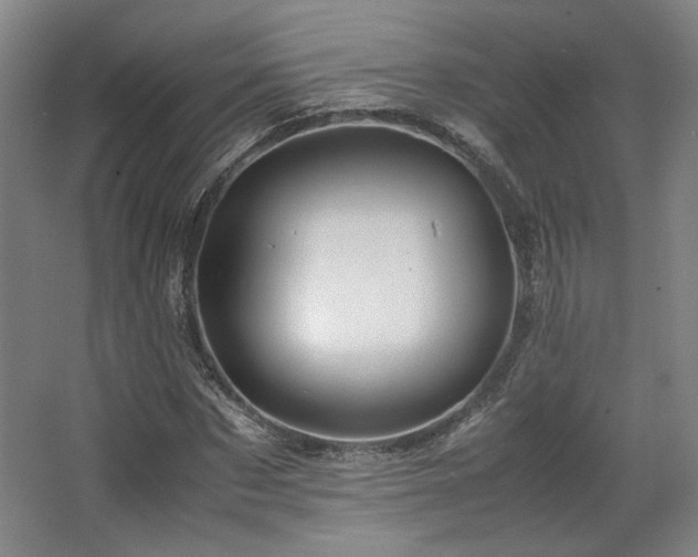 X0000063440873200601231323
