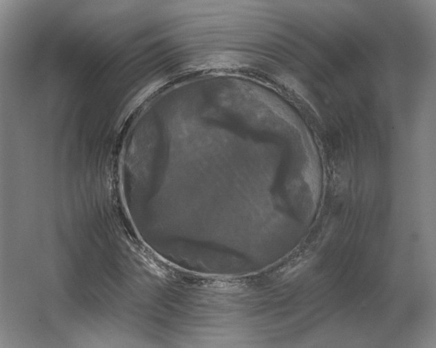 X0000063440874200601231323