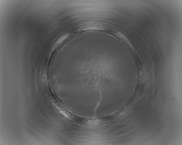 X0000063440882200601231323