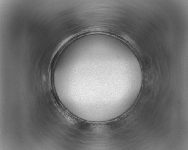 X0000063440886200601231323