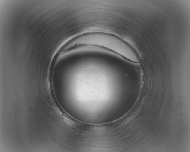 X0000063440888200601231323