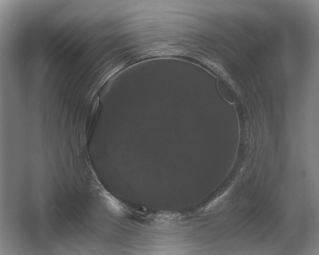 X0000063440889200601231323