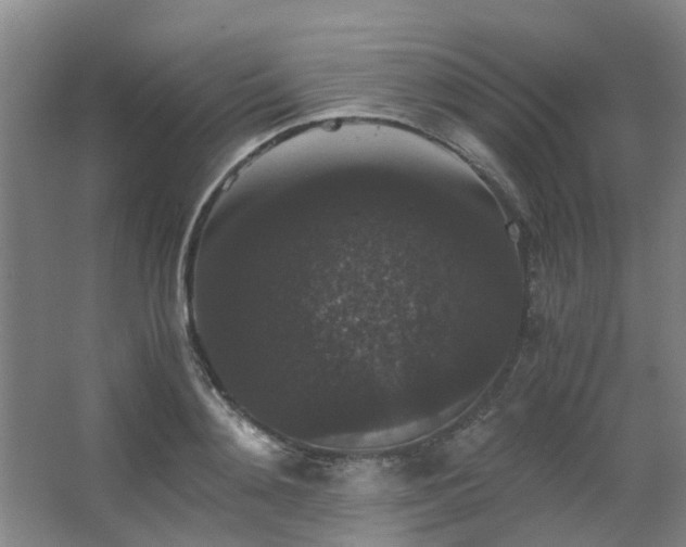 X0000063440892200601231323