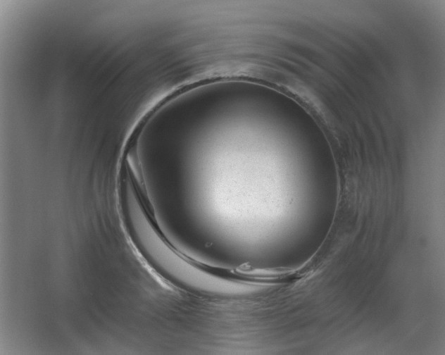 X0000063440894200601231323