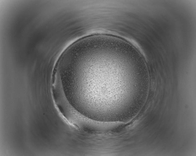X0000063440903200601231322