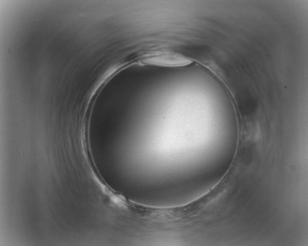 X0000063440909200601231322