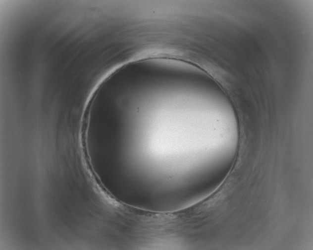 X0000063440912200601231322
