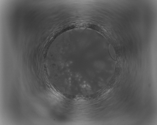 X0000063440913200601231321