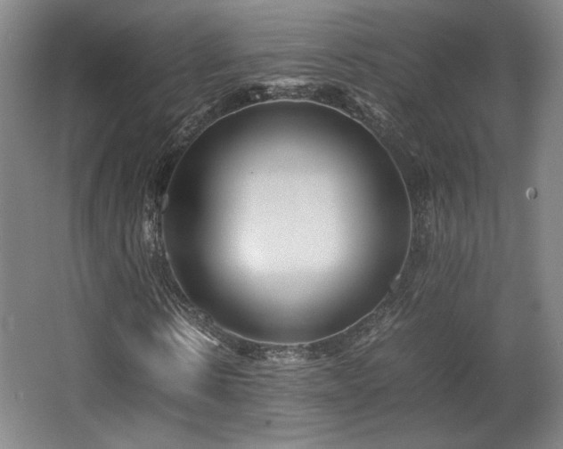 X0000063440914200601231321