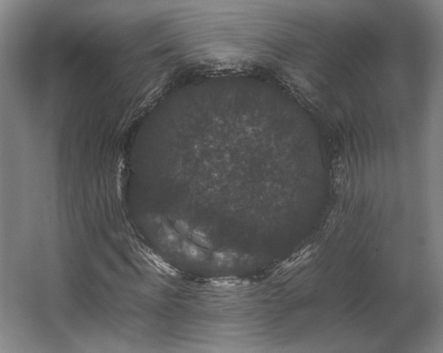 X0000063440916200601231321