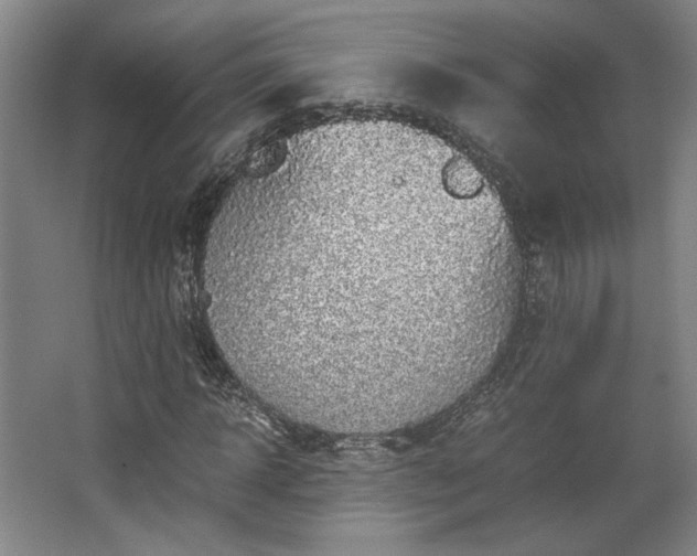 X0000063440918200601231322