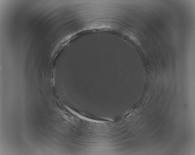 X0000063440920200601231322
