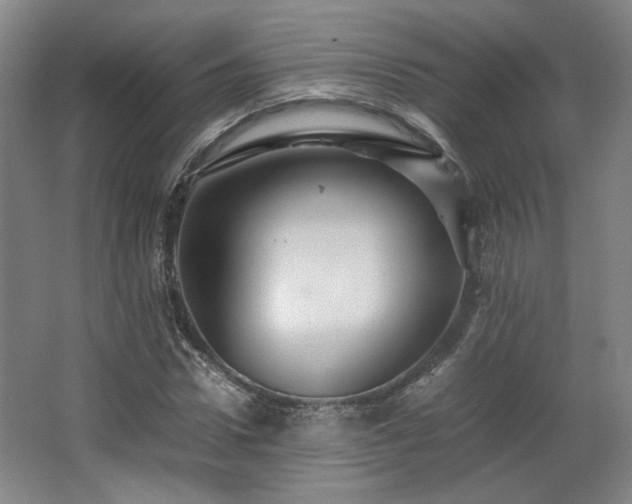 X0000063440922200601231322