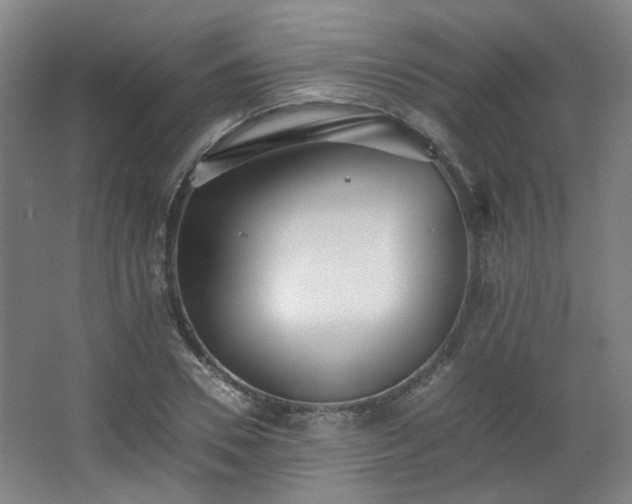 X0000063440930200601231322