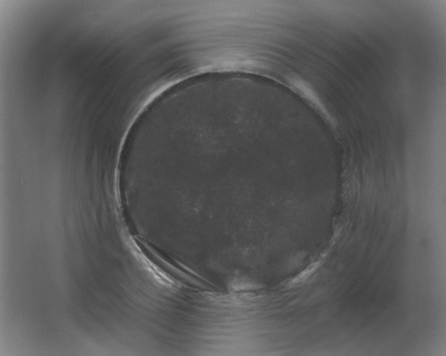 X0000063440932200601231322
