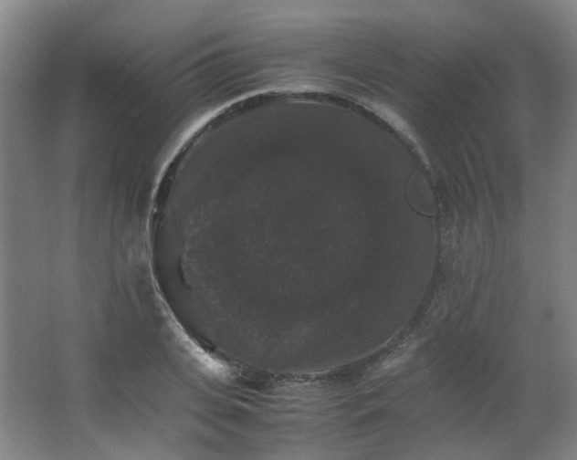 X0000063440935200601231322
