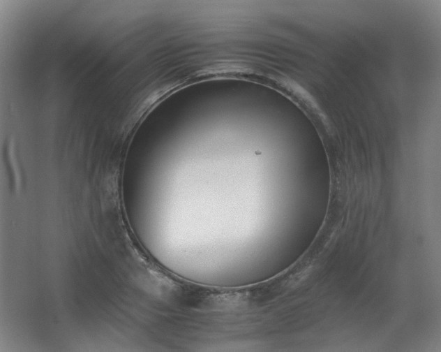 X0000063440937200601231322