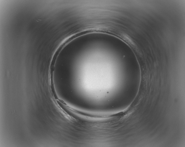 X0000063440940200601231322