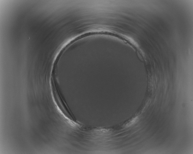 X0000063440943200601231322
