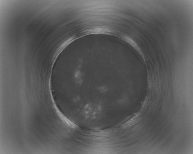 X0000063440946200601231322