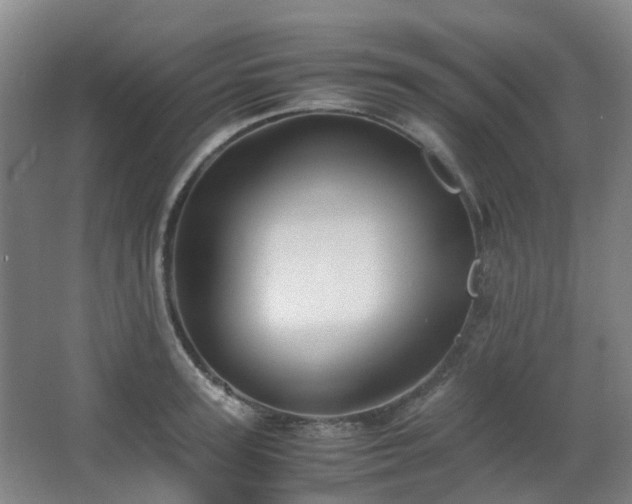 X0000063440947200601231322