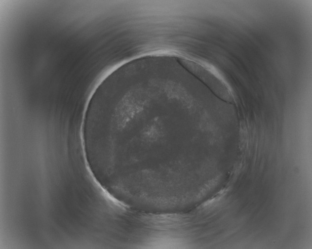 X0000063440959200601231322