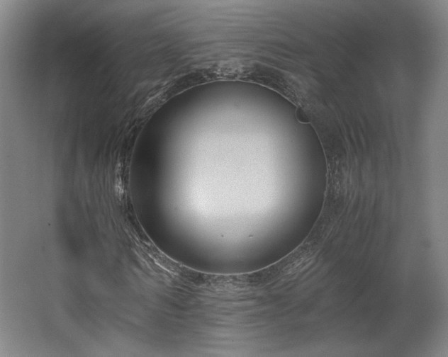 X0000063440962200601231321
