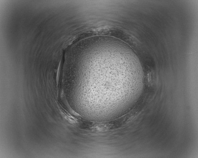 X0000063440963200601231321