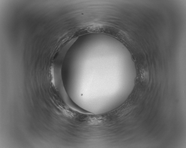 X0000063440964200601231321