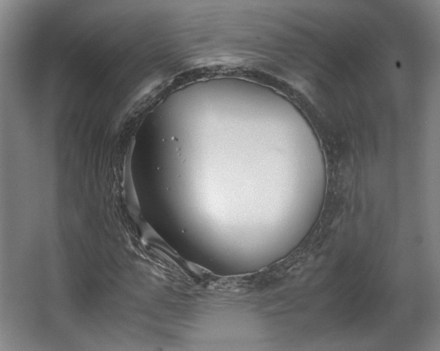 X0000063440967200601231321