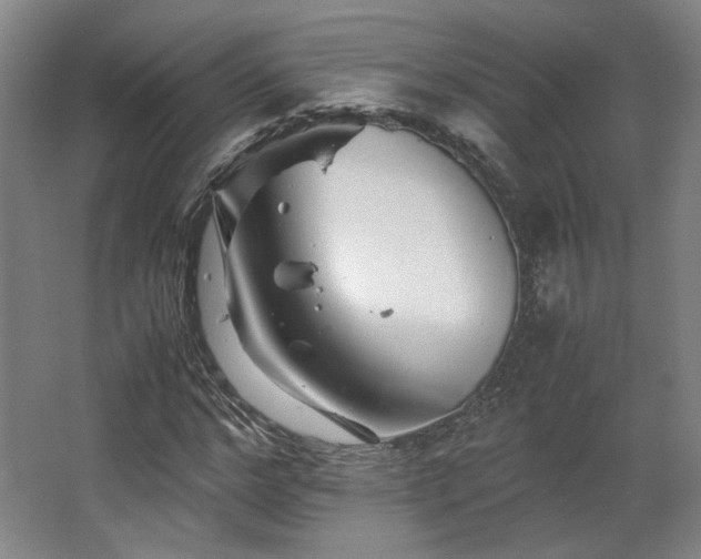 X0000063440968200601231321