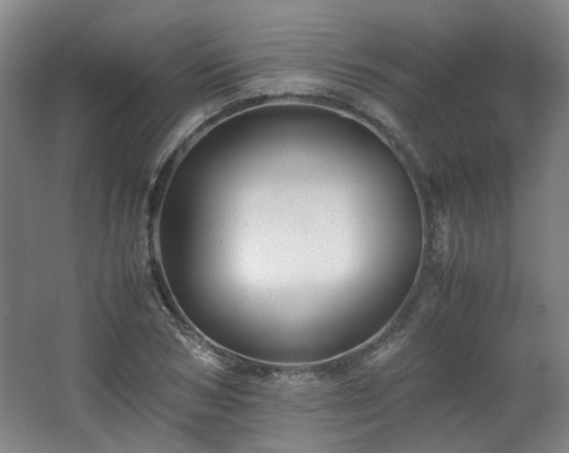 X0000063440978200601231321