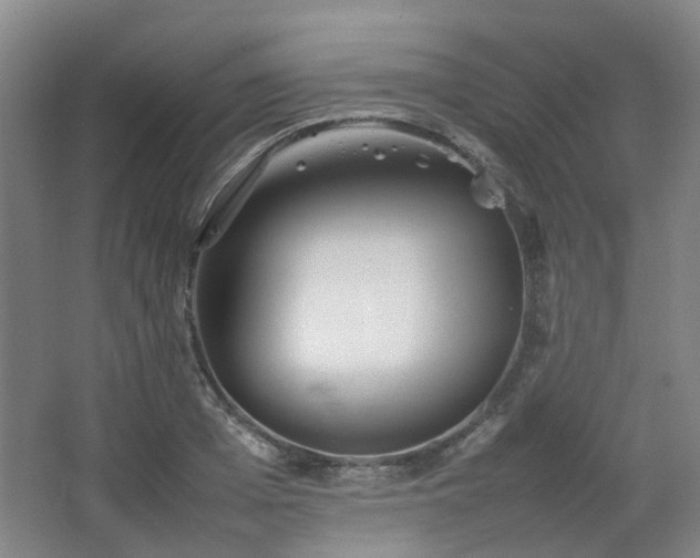 X0000063440985200601231321
