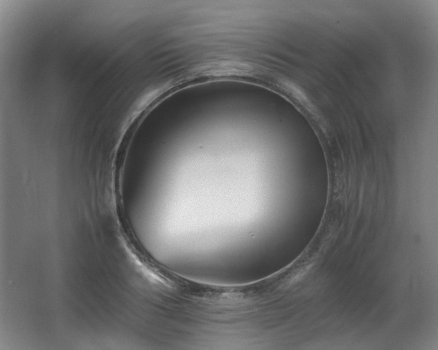 X0000063440986200601231321