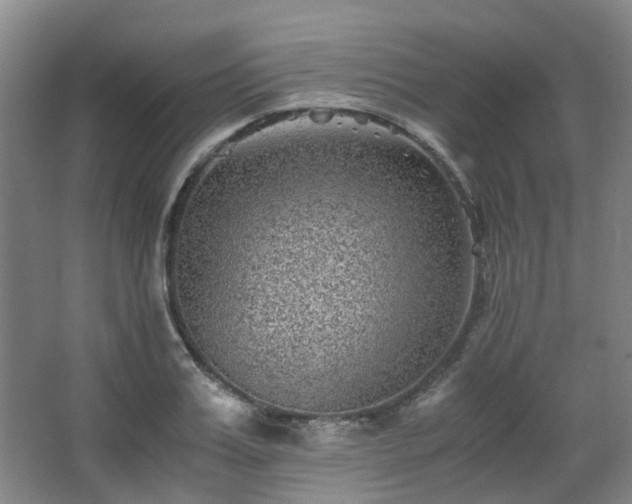 X0000063440987200601231321