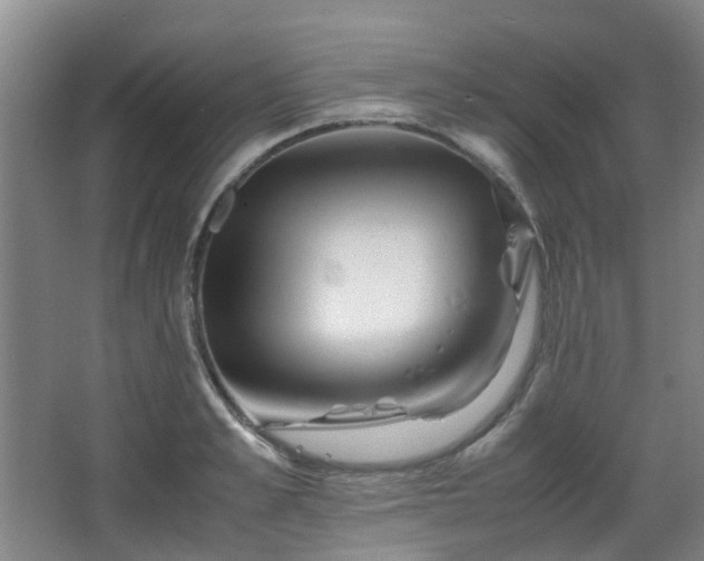 X0000063440989200601231321