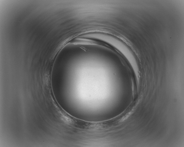 X0000063440993200601231321