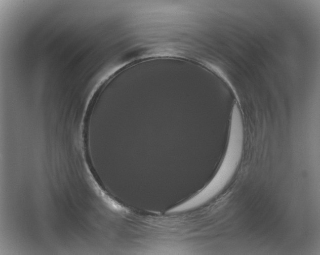 X0000063440995200601231321