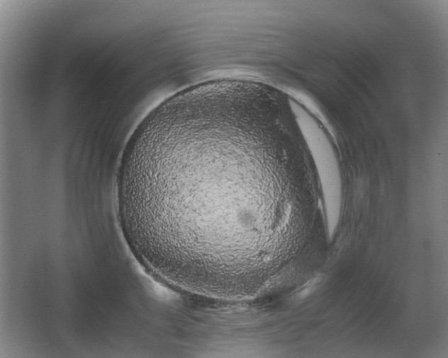 X0000063440999200601231321