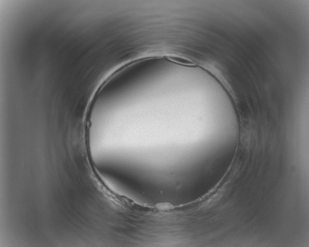 X0000063441004200601231321