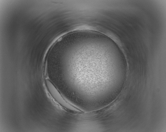X0000063441008200601231321