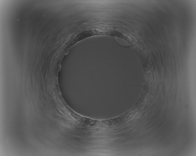 X0000063441009200601231320