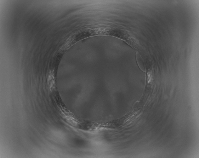 X0000063441011200601231320