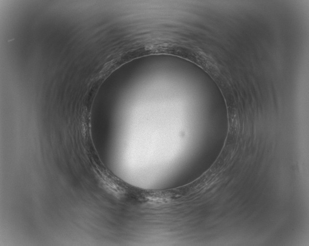 X0000063441012200601231320