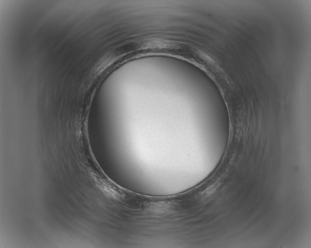 X0000063441017200601231320