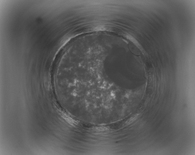 X0000063441023200601231320