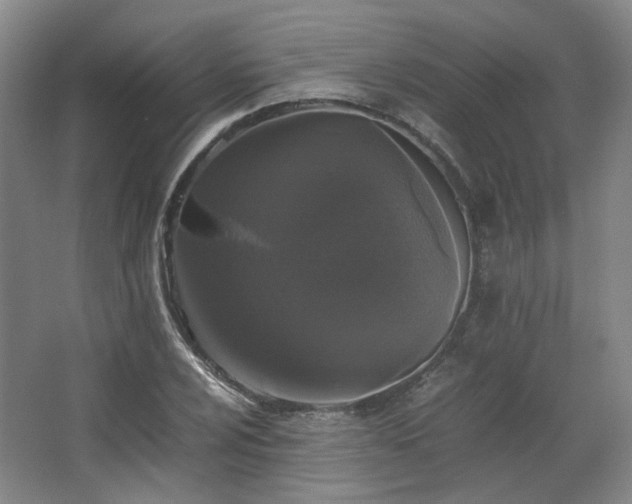 X0000063441024200601231320