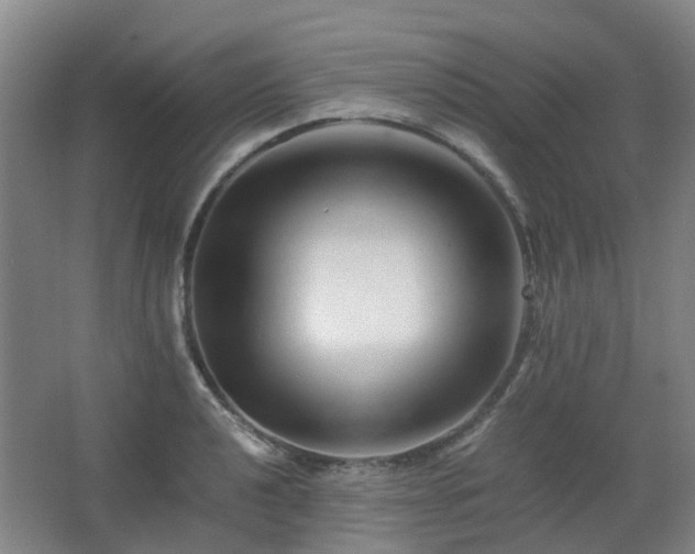X0000063441040200601231320
