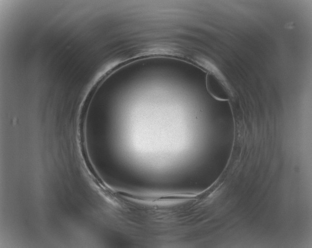 X0000063441043200601231320